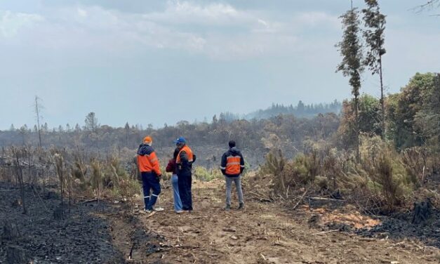 Noticias para migrantes Ecuatorianos Tres incendios forestales se mantienen activos en Azuay