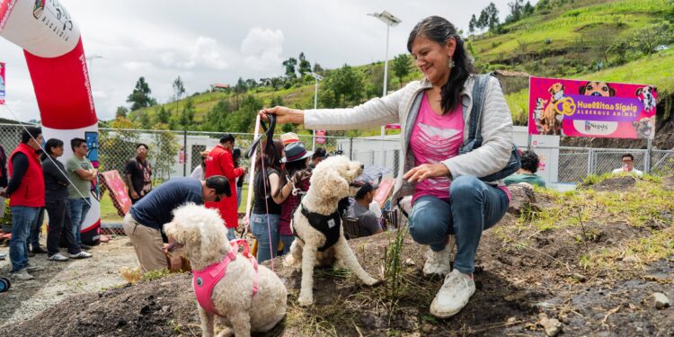 Noticias para migrantes Ecuatorianos Sígsig ya cuenta con albergue para mascotas