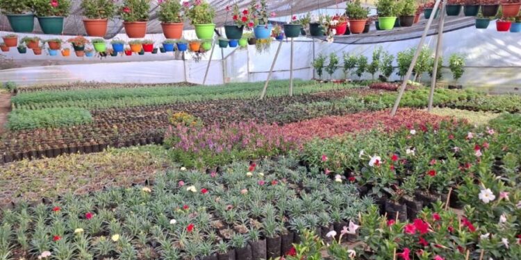 Noticias para migrantes Ecuatorianos Nayón: un cálido lugar para conocer y disfrutar, cerca de Quito