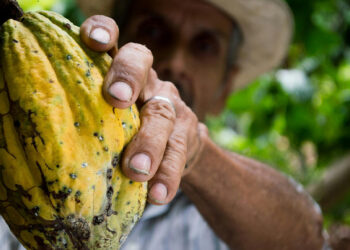 Agricultores ecuatorianos parten a España con programa Migración Circular