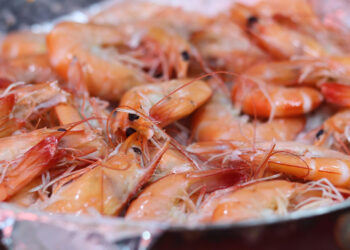 Reapertura de exportaciones de camarón ecuatoriano a Brasil