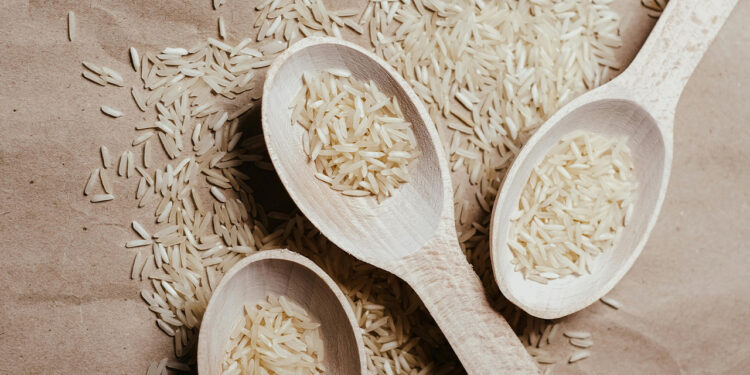 Ecuador busca nuevos mercados para exportar excedentes de arroz