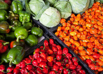 BONO RAÍCES ENTREGA 1.000 USD A PEQUEÑOS AGRICULTORES DE ECUADOR