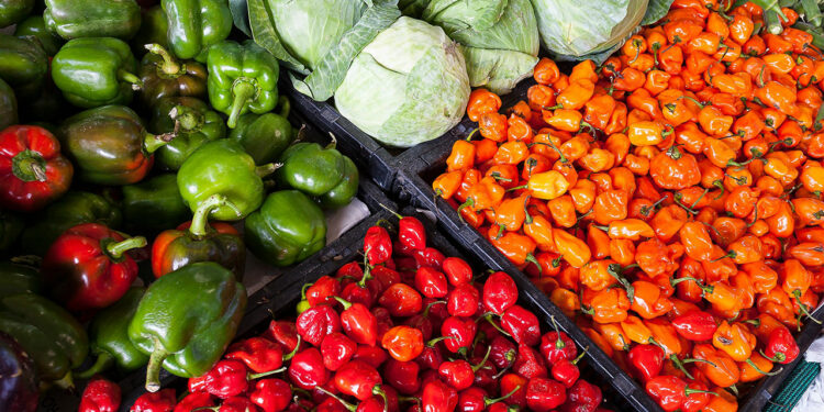 BONO RAÍCES ENTREGA 1.000 USD A PEQUEÑOS AGRICULTORES DE ECUADOR