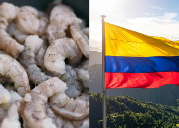 Camarón ecuatoriano vuelve al mercado colombiano