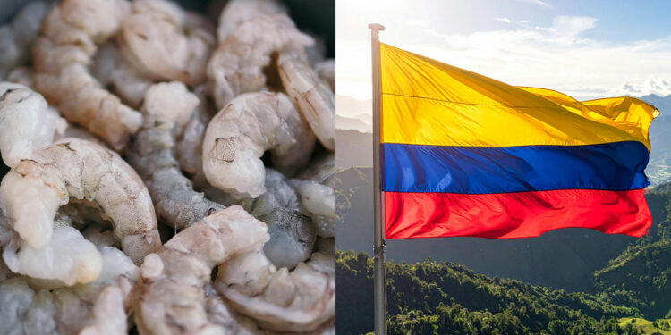 Camarón ecuatoriano vuelve al mercado colombiano