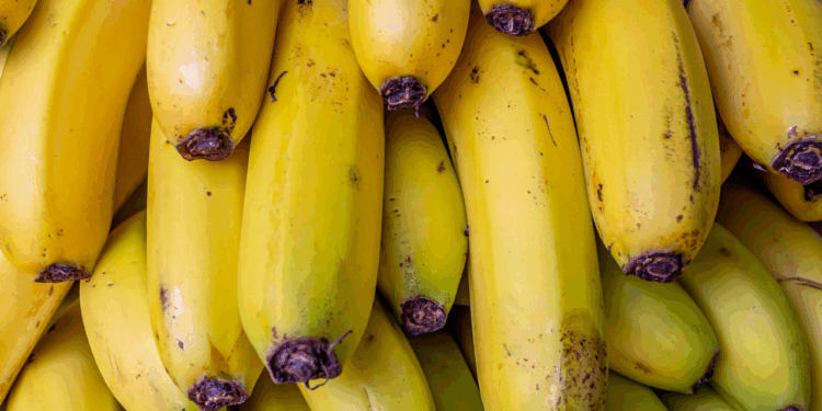 EE.UU. PROPONE ARANCELES CERO PARA EL BANANO ECUATORIANO