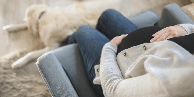 MENOS EMBARAZOS EN ADOLESCENTES EN ECUADOR 📉👧🇪🇨