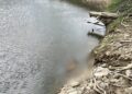 Noticias para migrantes Ecuatorianos Encuentran un cadáver en la represa Mazar, en Azuay