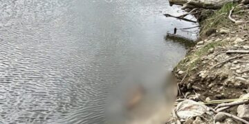 Noticias para migrantes Ecuatorianos Encuentran un cadáver en la represa Mazar, en Azuay