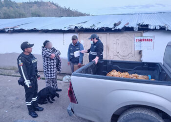 Noticias para migrantes Ecuatorianos En Gualaceo clausuran centro de faenamiento por incumplir condiciones sanitarias