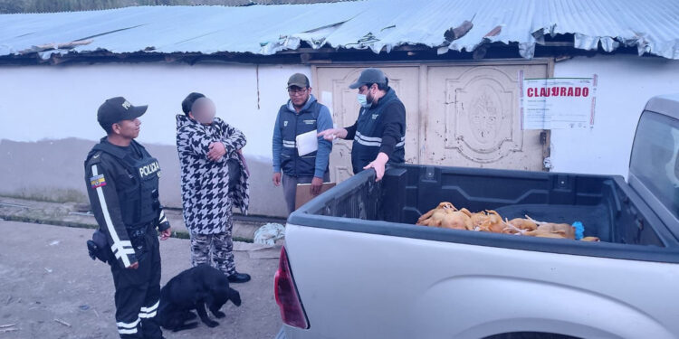 Noticias para migrantes Ecuatorianos En Gualaceo clausuran centro de faenamiento por incumplir condiciones sanitarias