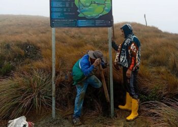 Noticias para migrantes Ecuatorianos Contactos de emergencia para quienes caminan a El Cisne