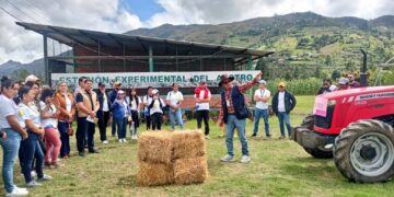 Noticias para migrantes Ecuatorianos Gualaceo acoge la Semana de Innovación