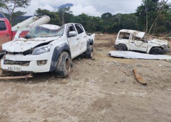 Noticias para migrantes Ecuatorianos «Me aferré a una rama y permanecí suspendido»: el relato de un sobreviviente del aluvión en Guadalupe