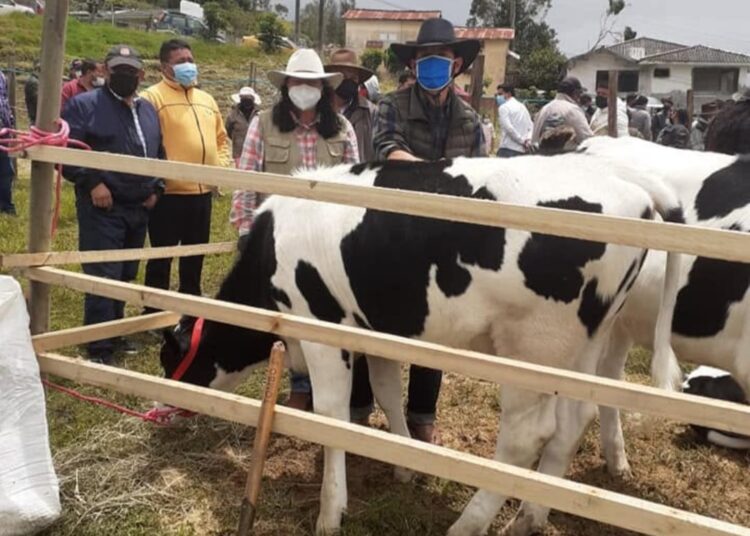 Noticias para migrantes Ecuatorianos Ganaderos de la región se darán cita en Sevilla de Oro