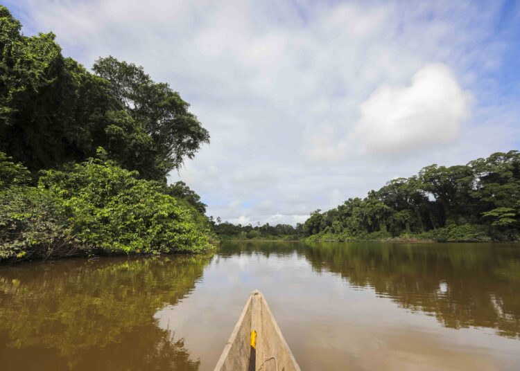 Noticias para migrantes Ecuatorianos Selva Eterna, el santuario que cuida la vida silvestre del sureste del Ecuador