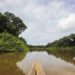 Noticias para migrantes Ecuatorianos Selva Eterna, el santuario que cuida la vida silvestre del sureste del Ecuador