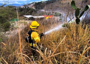Noticias para migrantes Ecuatorianos Incendio forestal consume una hectárea en El Ramal, Santa Isabel