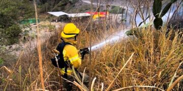 Noticias para migrantes Ecuatorianos Incendio forestal consume una hectárea en El Ramal, Santa Isabel