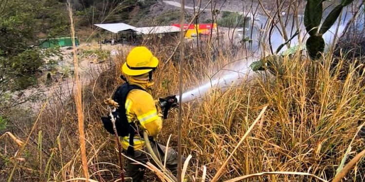 Noticias para migrantes Ecuatorianos Incendio forestal consume una hectárea en El Ramal, Santa Isabel