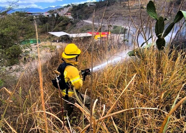Noticias para migrantes Ecuatorianos Incendio forestal consume una hectárea en El Ramal, Santa Isabel