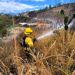 Noticias para migrantes Ecuatorianos Incendio forestal consume una hectárea en El Ramal, Santa Isabel