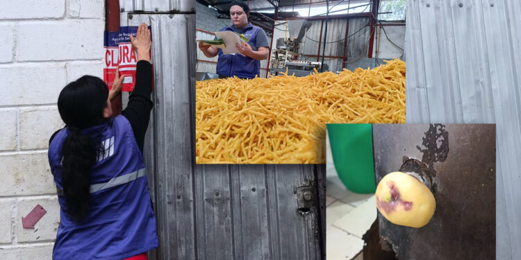 Noticias para migrantes Ecuatorianos Clausuran planta de papas en funda en Azogues por presencia de heces de roedor y otras irregularidades