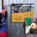 Noticias para migrantes Ecuatorianos Clausuran planta de papas en funda en Azogues por presencia de heces de roedor y otras irregularidades