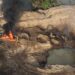 Noticias para migrantes Ecuatorianos VIDEO: Militares destruyen con explosión mina ilegal de Shumiral