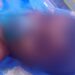 Noticias para migrantes Ecuatorianos Niño, de cuatro años, muere en Tiwintza por picadura de alacrán. No recibió el antídoto