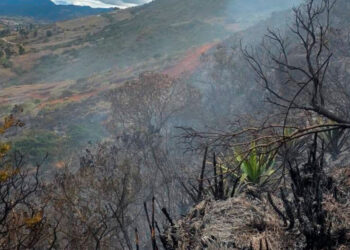 Noticias para migrantes Ecuatorianos Una persona falleció tras incendio forestal en Sígsig