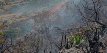 Noticias para migrantes Ecuatorianos Una persona falleció tras incendio forestal en Sígsig