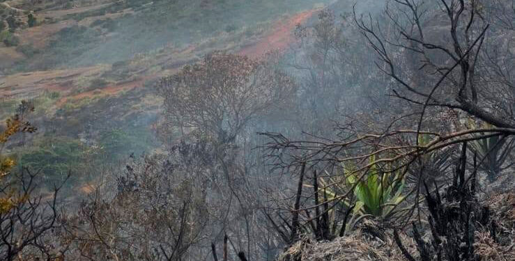 Noticias para migrantes Ecuatorianos Una persona falleció tras incendio forestal en Sígsig