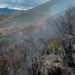 Noticias para migrantes Ecuatorianos Una persona falleció tras incendio forestal en Sígsig