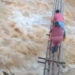 Noticias para migrantes Ecuatorianos Moradores de San Vicente, en El Carmen de Pijilí, en Azuay, cruzan peligroso río